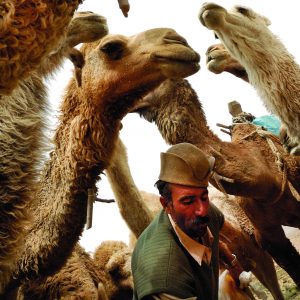 حسن غفاری عشایر قشقایی-آباده 1384