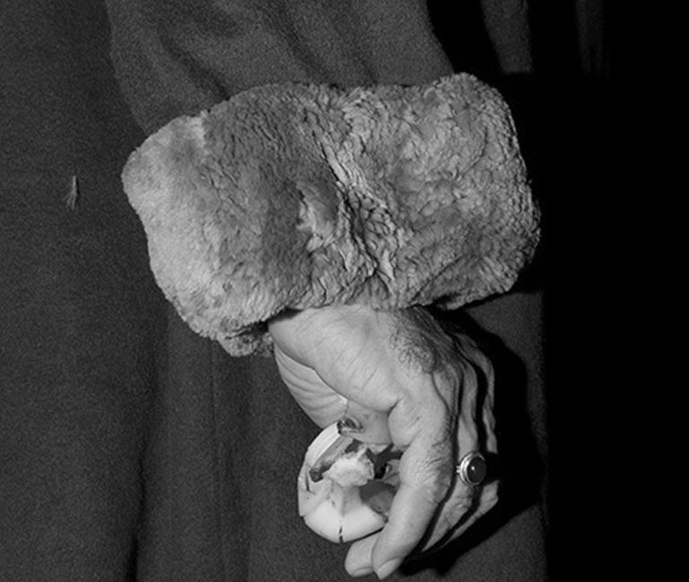 هادی فلاح‌پیشه هنرمند گالری دلگشا