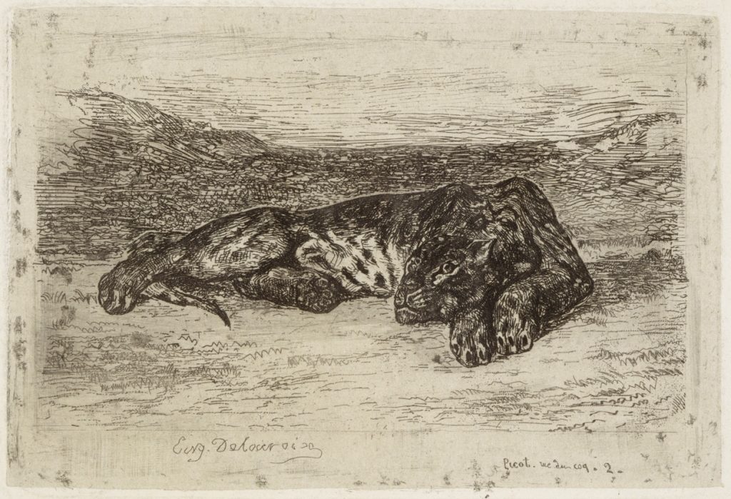 louvre tigre couche dans le desert eugene delacroix درباره‌ی «اوژن دلاکروا» و 23 نقاشی او